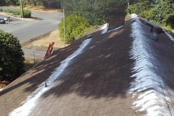 Moss treatment applied on roof